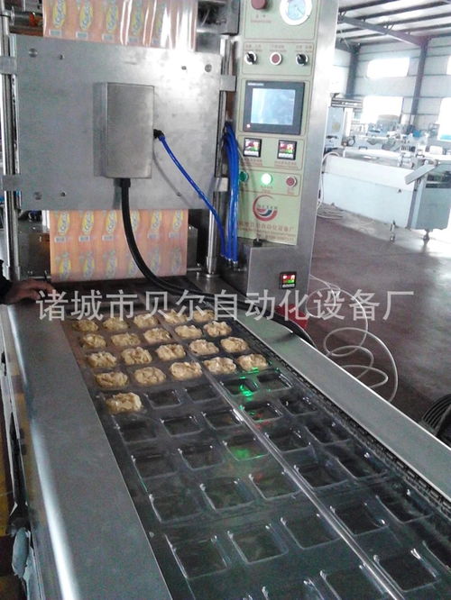 大棗包裝袋包裝機廠家供應 beier 420型抽真空快速食品包裝機 真空包裝機 全自動包裝機 包裝機械 計量包裝機