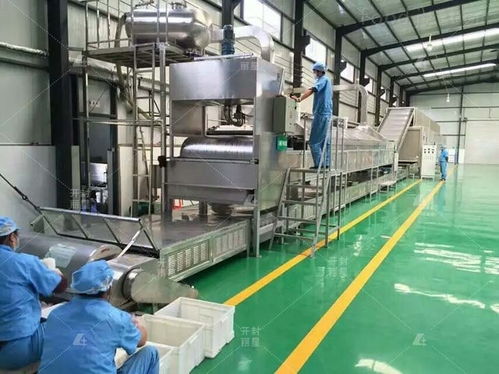 制作粉條的自動化設備,麗星粉條機工藝解析